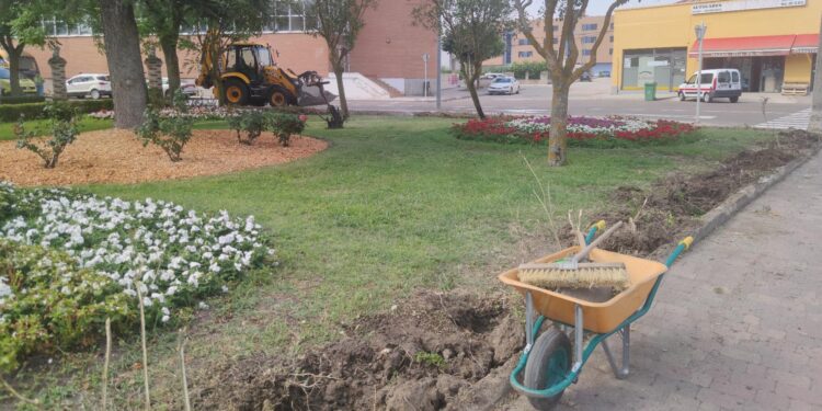 El Ayuntamiento de Peñaranda retira parte del arbusto perimetral del parque de Los Jardines que se encontraba muy deteriorado