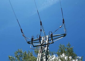 Dos millones de euros para reducir la mortalidad por electrocución de aves en los tendidos eléctricos