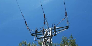 Dos millones de euros para reducir la mortalidad por electrocución de aves en los tendidos eléctricos