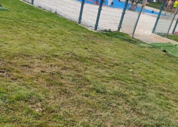 Arrecian las quejas vecinales en Peñaranda por el estado del nuevo césped de las piscinas municipales
