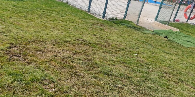Arrecian las quejas vecinales en Peñaranda por el estado del nuevo césped de las piscinas municipales