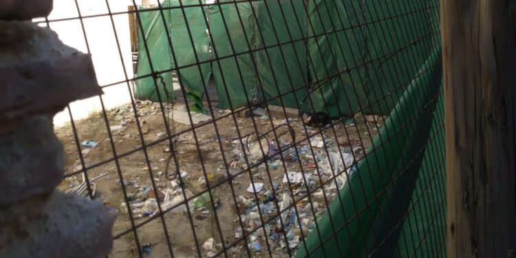 Peñaranda en Común (PEC) denuncia, una vez más, el incumplimiento de la ordenanza sobre limpieza de solares