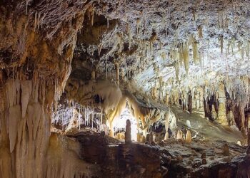 Peñaranda programa una excursión para los jóvenes el 6 de agosto a la cueva del Soplao y la playa de Comillas