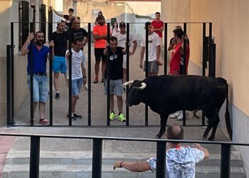 El primer encierro urbano de Palaciosrubios llena las calles de la localidad de aficionados locales y del resto de la comarca