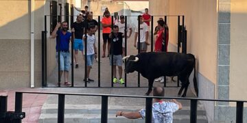El primer encierro urbano de Palaciosrubios llena las calles de la localidad de aficionados locales y del resto de la comarca