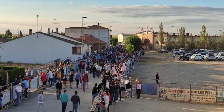 El día de San Roque «el Grande» comienza en Macotera con el primer y esperado encierro por las calles de la villa