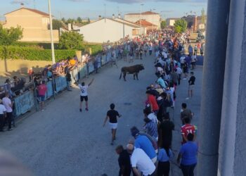 «Consejero» llena de emoción las calles de Macotera en el multitudinario festejo del Toro del Cajón