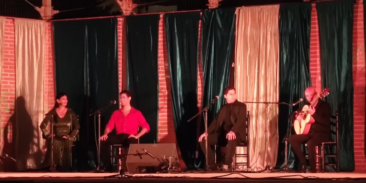 Las Noches de Cultura siguen en Peñaranda con el espectáculo de Rita Clara en el parque La Huerta