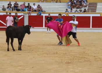 Animada suelta de vaquillas en Peñaranda en el segundo festejo de ferias en el centenario coso de La Florida