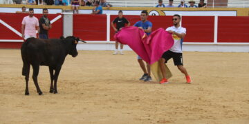 Animada suelta de vaquillas en Peñaranda en el segundo festejo de ferias en el centenario coso de La Florida