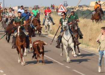 Alaraz despide una fiestas con noches de verbena multitudinarias y con la emoción del encierro a caballo