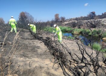 La CHD ha invertido 1,2 millones de euros en el último año para la conservación y mantenimiento de cauces en la provincia