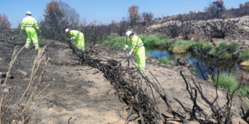 La CHD ha invertido 1,2 millones de euros en el último año para la conservación y mantenimiento de cauces en la provincia