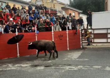 Tiempo ya plenamente otoñal en el primer encierro urbano celebrado esta mañana en las calles de Villoria