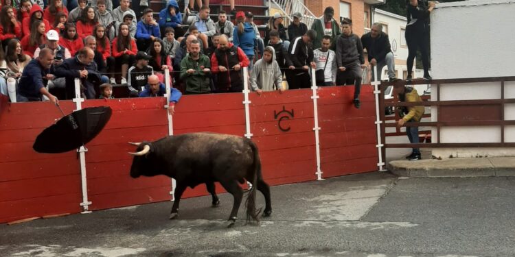 Tiempo ya plenamente otoñal en el primer encierro urbano celebrado esta mañana en las calles de Villoria