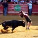 Andrea Peña Martín gana del VII concurso de fotografía taurina de la asociación Media Verónica de Macotera