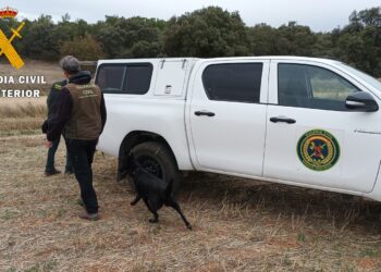 La Guardia Civil investiga a tres personas tras el hallazgo de varios ejemplares de animales silvestres muertos en Cantalpino