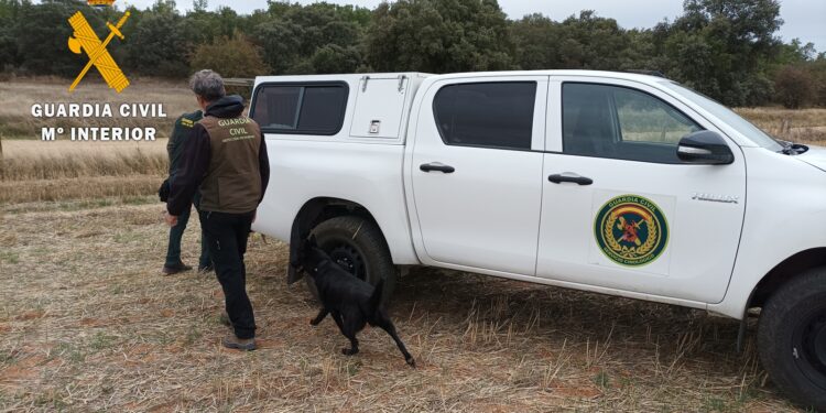La Guardia Civil investiga a tres personas tras el hallazgo de varios ejemplares de animales silvestres muertos en Cantalpino