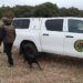 La Guardia Civil investiga a tres personas tras el hallazgo de varios ejemplares de animales silvestres muertos en Cantalpino