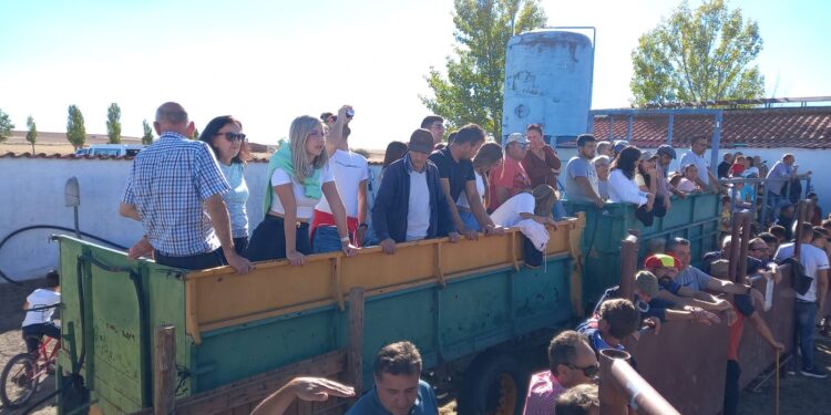 La esperada capea popular en Nava de Sotrobal reúne a los aficionados en la plaza de toros del Calvario