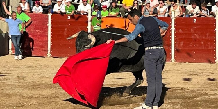 Zorita de la Frontera disfruta de su afición taurina con la lidia de vaquillas y un novillo en una tarde de sol y aplausos