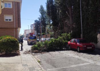 Bomberos y Guardia Civil intervienen en Peñaranda por la caída de un árbol sobre varios vehículos en la calle Velázquez