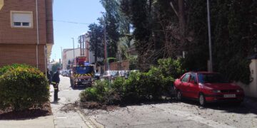 Bomberos y Guardia Civil intervienen en Peñaranda por la caída de un árbol sobre varios vehículos en la calle Velázquez
