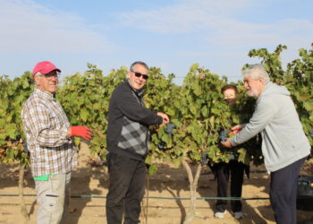 Varias familias de Villoria comparten la vendimia con Monseñor Francisco González, obispo emérito de Puerto Maldonado (Perú)
