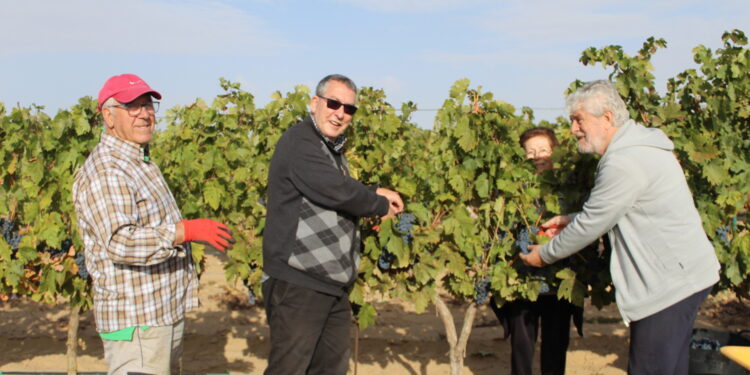 Varias familias de Villoria comparten la vendimia con Monseñor Francisco González, obispo emérito de Puerto Maldonado (Perú)