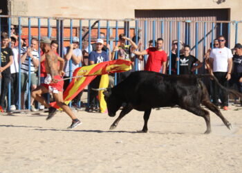 El último encierro de las fiestas llena de público el recorrido y los tendidos de la plaza portátil en Tarazona de la Guareña