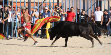 El último encierro de las fiestas llena de público el recorrido y los tendidos de la plaza portátil en Tarazona de la Guareña