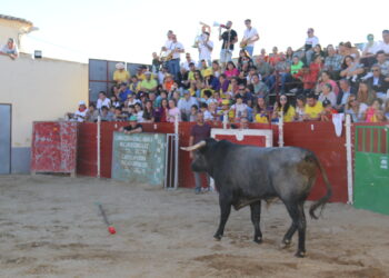 Zorita de la Frontera pone el broche a las celebraciones patronales de San Miguel con una tarde con claro sabor taurino