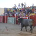 Zorita de la Frontera pone el broche a las celebraciones patronales de San Miguel con una tarde con claro sabor taurino