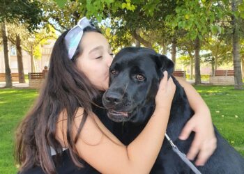 El PSOE lleva al Senado una moción para que las personas con discapacidad puedan acceder a perros de asistencia