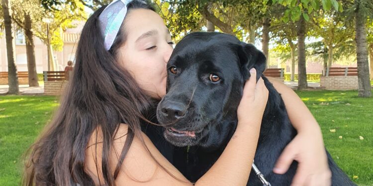 El PSOE lleva al Senado una moción para que las personas con discapacidad puedan acceder a perros de asistencia