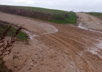 La carretera de Arabayona a Villoruela convetida en un auténtico lodazal: los conductores advierten del peligro
