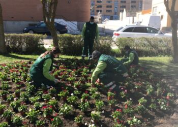 Peñaranda solicita dos nuevos talleres de empleo de Albañilería y Jardinería que formarán a un total de 20 alumnos