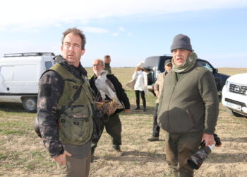 Zorita de la Frontera recibirá a los mejores cetreros del país que participarán en el Trofeo Legendario de Altanería