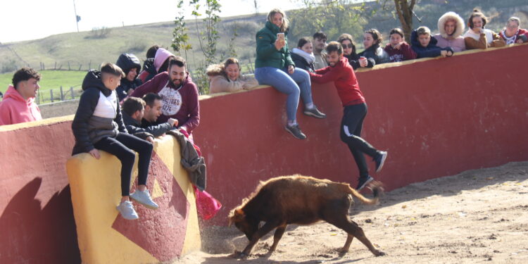 Villaflores vive intensamente su segundo día de las fiestas «chicas» con una jornada campera en La Morquera