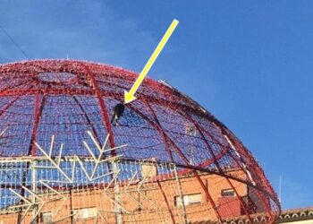 Un gato «estrena» la bola navideña de Peñaranda y obliga a intervenir a los Bomberos para rescatarlo