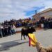 «Fugitivo», el toro donado por la asociación taurina Calabresa, lleva la emoción a las calles de Cantalapiedra