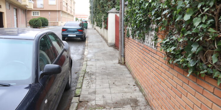 Las quejas vecinales obligan al Ayuntamiento de Peñaranda a limpiar la suciedad de los estorninos en la calle Velázquez