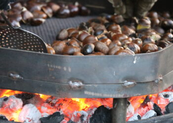 Castañas como premio para los niños que barrían la escuela: la nueva reseña histórica de Eutimio Cuesta