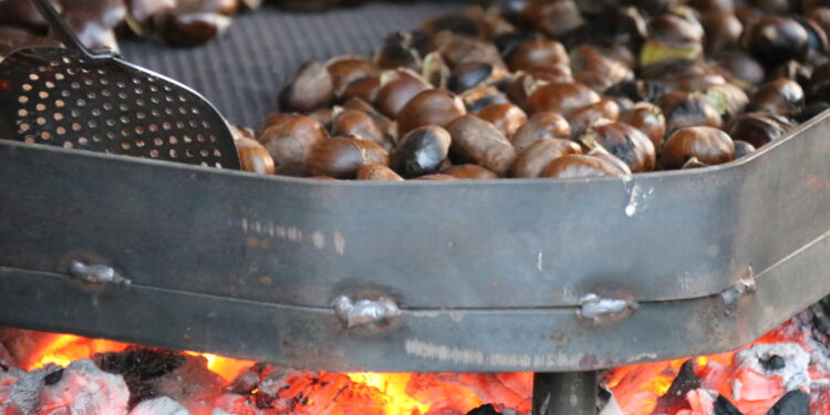 Castañas como premio para los niños que barrían la escuela: la nueva reseña histórica de Eutimio Cuesta