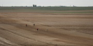 «Chica de Lafervet» disputa mañana la Final del Campeonato de Galgos de Castilla y León en tierras abulenses