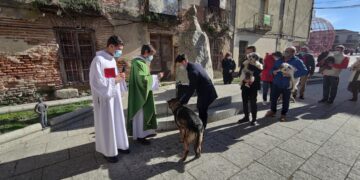 Peñaranda y Macotera festejarán a San Antón este mes de enero con la tradicional bendición de los animales