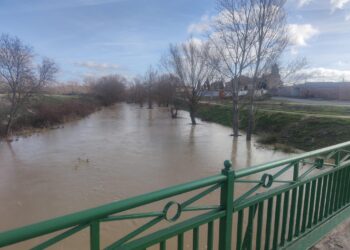 La espectacular crecida del río Almar mantiene desde ayer con el «corazón en vilo» a los vecinos de Alconada