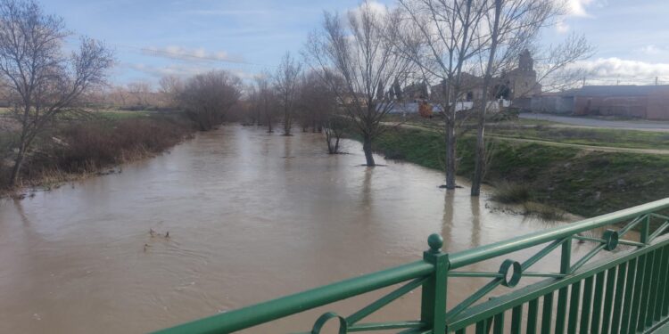 La espectacular crecida del río Almar mantiene desde ayer con el «corazón en vilo» a los vecinos de Alconada