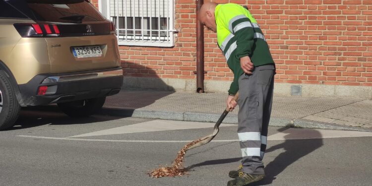 Vuelven las quejas vecinales a Peñaranda por la aparición de ratas en el entorno de las calles Arapiles, Carlos I y San José