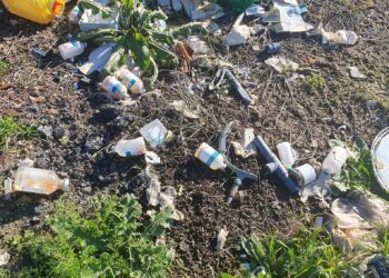 «Atentado» medioambiental en Macotera: residuos y restos veterinarios abandonados en un regato junto a un pinar